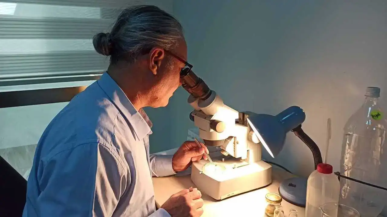 İskenderun Körfezi’nde İlk Kez Görüldü: Akdeniz’e Tropik Göç Başladı! 3